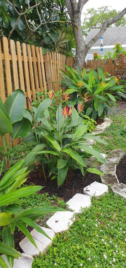 Tropical Hideaway! Apartment ฟอร์ต ลอเดอร์เดล ภายนอก รูปภาพ